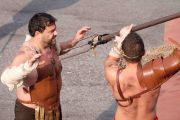 Concorso Picchiatelli 2014 (118 di 265)